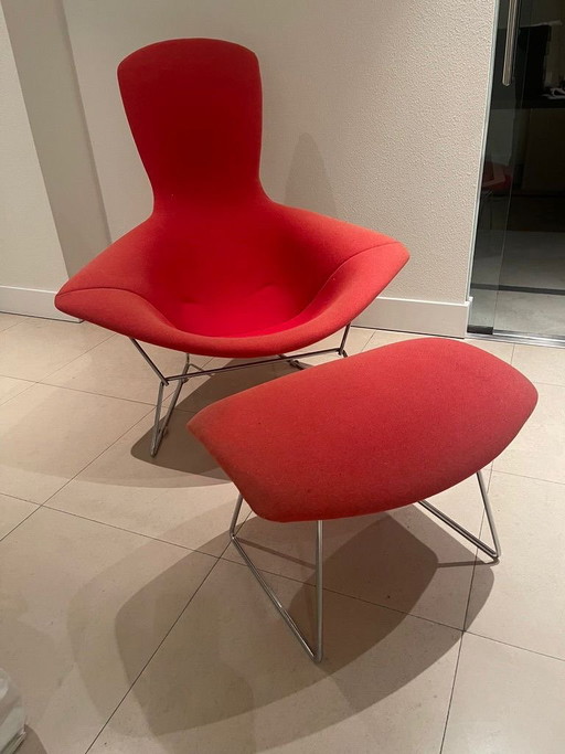 Bertoia Bird Chair