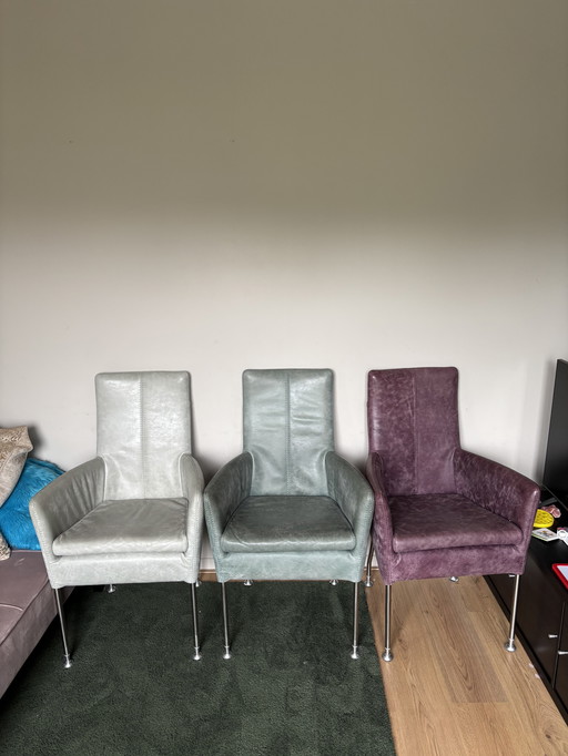 6x Arezzo (l'ancora) in pelle tricolore