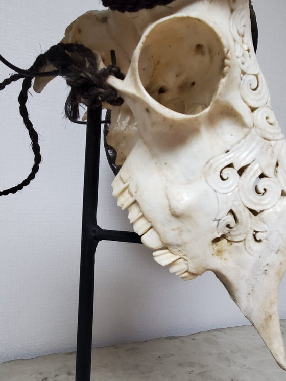 Image 1 of Tassidermia - Teschio di ariete intagliato su base (rif. 4039)