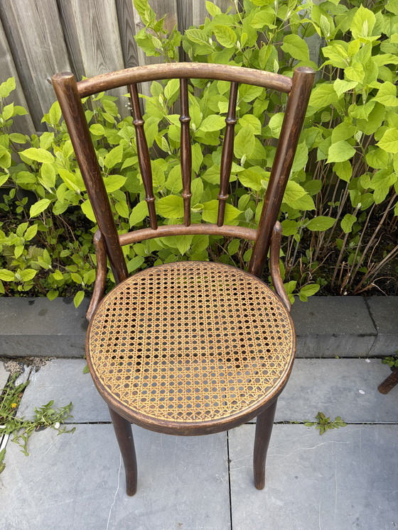 Image 1 of 8 vintage Thonet stijl bistro stoelen Romania webbing zitting