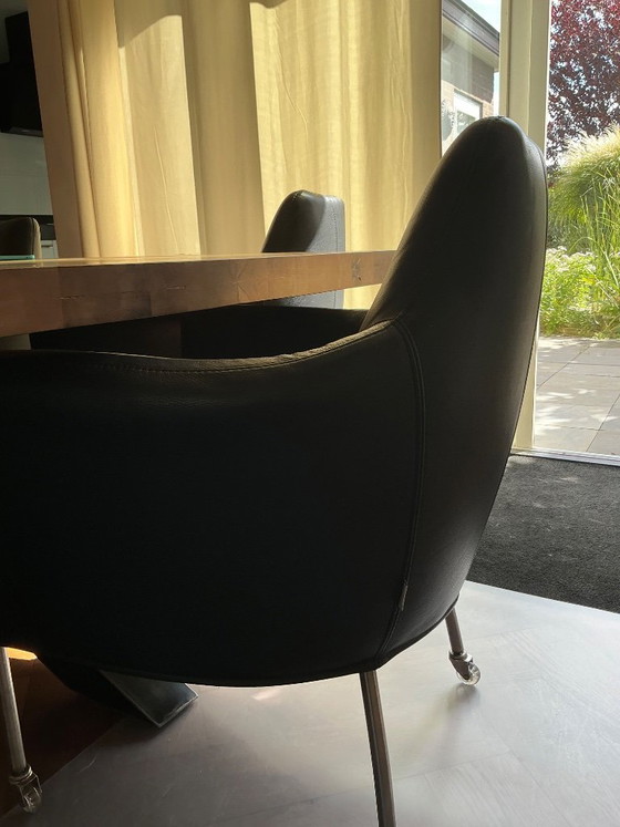 Plantation dining chairs – Bert Plantagie, Leather, Metal (photo 6 of 7)