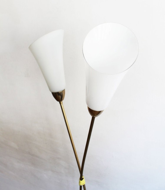 Image 1 of Organic Mid-Century Modern Floor Lamp in Brass and Milk Glass, Czechoslovakia