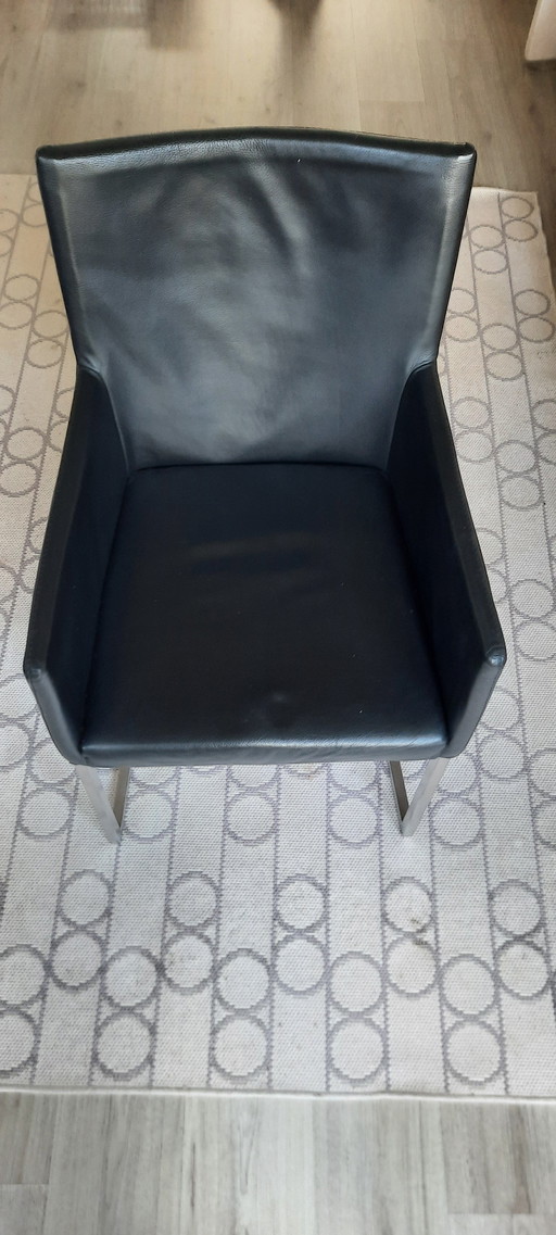 Dining chairs Tidy Freischwinger Bert Plantagie