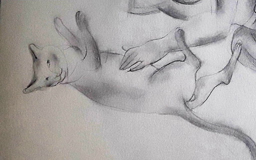 Femme Avec Le Chat, Dessin Sur Papier: Issaeva-Agenos Veronika