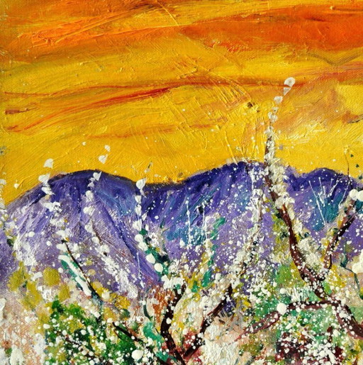 Cherry trees in bloom