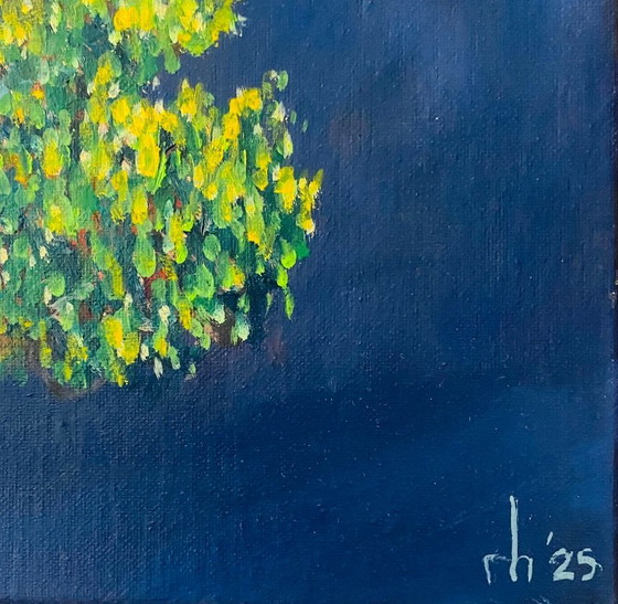 Nightly Chestnut – Schilderijen & Tekeningen, Canvas (photo 2 of 5)