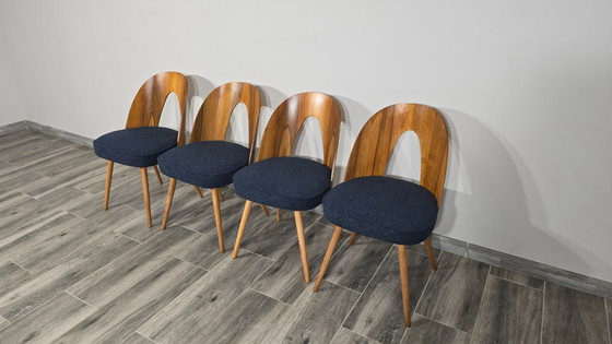 Image 1 of Esstischstühle von Antonin Suman