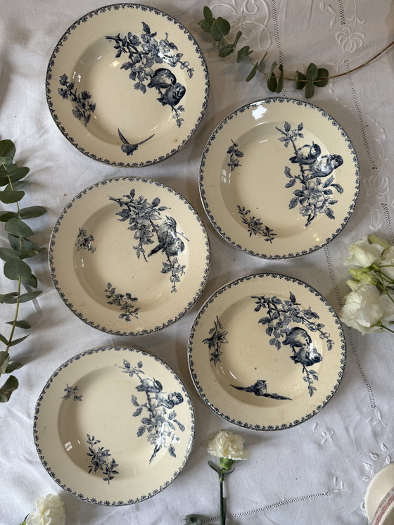 Image 1 of Juego de 5 platos favoritos