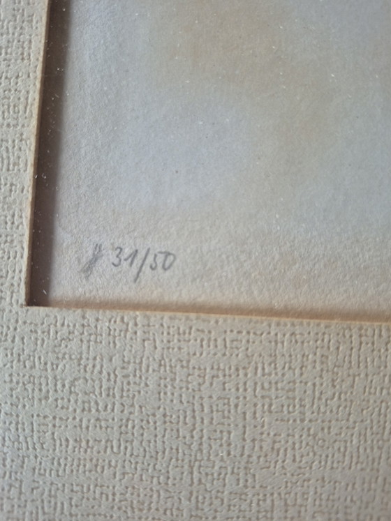 Original Color Etching "Stehendes Rehkitz" – Kurt Meyer-Eberhardt – Limited Edition 31/50 (Hand-signed) (photo 3 of 5)