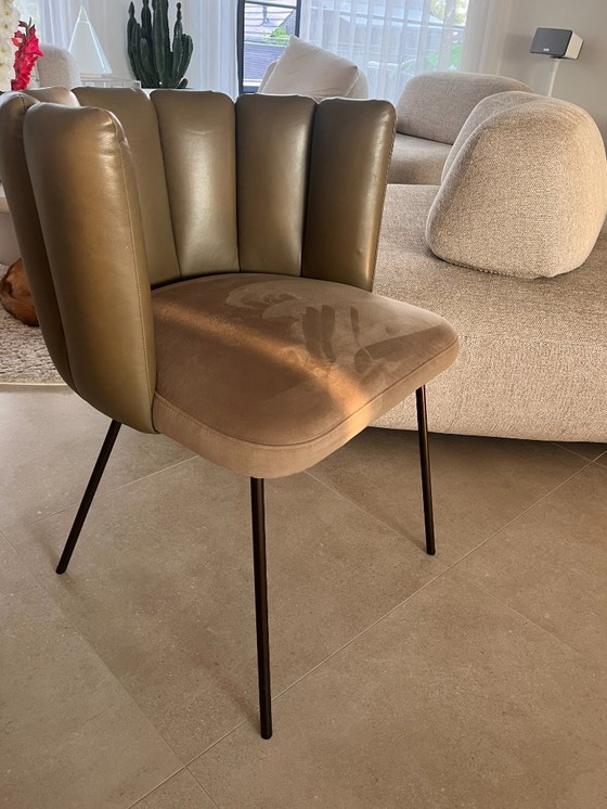 Image 1 of 4 Sillas 'Gaia' KFF