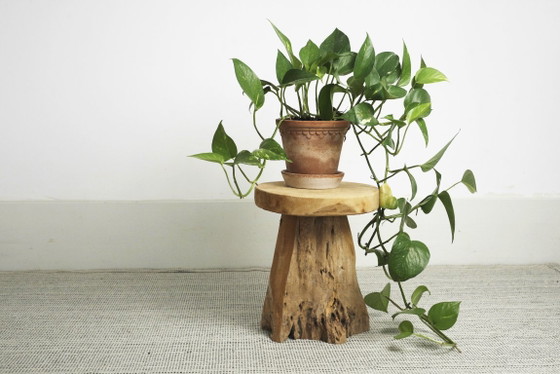 Teakhouten wortelkruk, organisch houten bijzettafeltje, rustieke sculpturale boomstronkkruk, vintage – Wood (photo 14 of 17)