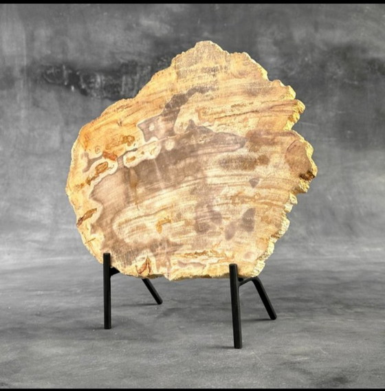 Image 1 of Madera fosilizada de Sooka, estándar a medida (nuevo)