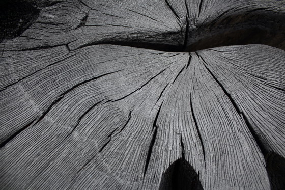 Duhe Sitzbank aus verkohlter Eiche – Tom Heywood, Beistellstühle, Wood (photo 9 of 10)
