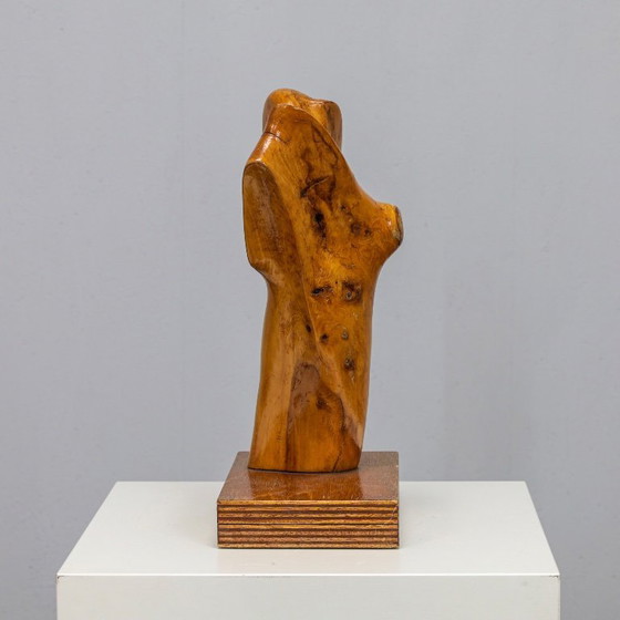 Image 1 of Abstract Organic Wood Sculpture by H. Hinfelaar, Netherlands, 1980s