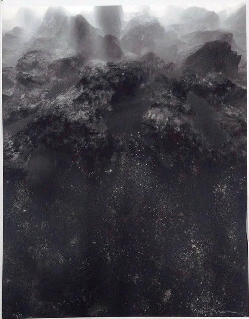 JOAN FONTCUBERTA, Lithographie mit Texturen retuschiert - Größe 95 x 74 cm. – lithos zeefdrukken, Paper (photo 2 of 5)