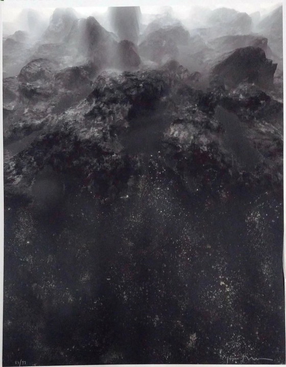 JOAN FONTCUBERTA, Lithographie mit Texturen retuschiert - Größe 95 x 74 cm. – Lithographien & Drucke, Paper (photo 2 of 5)