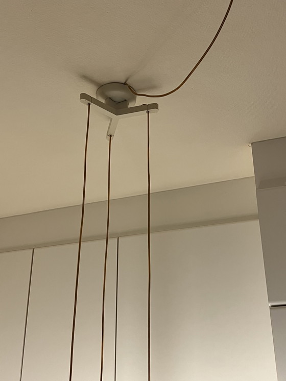 Image 1 of Flos Fucsia 3