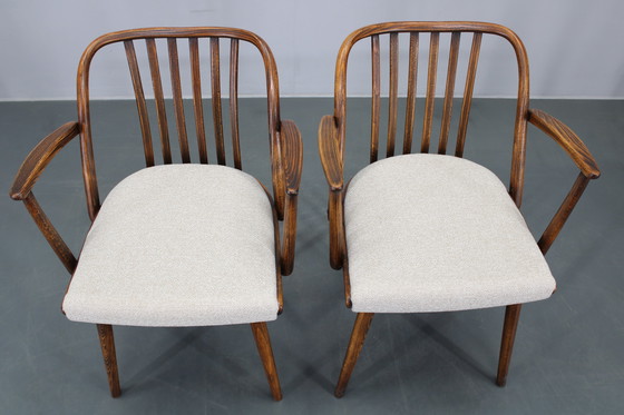 Image 1 of 1960 Antonin Suman Ensemble de six chaises de salle à manger en hêtre, restaurées