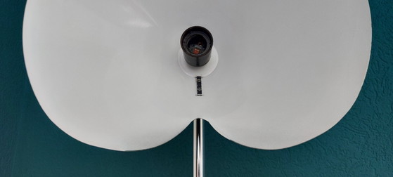 Image 1 of  Monachella Floor Lamp by Luigi Caccia Dominioni for Azucena 1950's