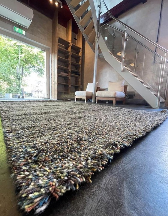 Image 1 of Brink and Campman Flamenco NEW 200 x 280