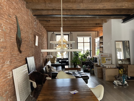 Industriële Hanglamp, Geborsteld RVS