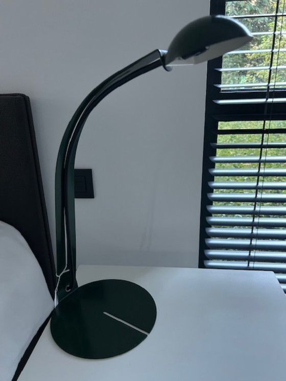 Image 1 of Herda B1412 (green)