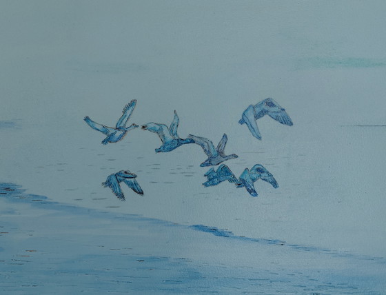 Image 1 of Galerie „Der Traumflug“ Suncorner