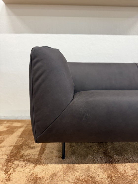 Image 1 of Label van den Berg Moby Dick 2.5 Seater Dark Brown
