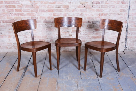 Vier restaurierte Art-Deco-Stühle von Thonet, Buche, Nussbaum, tschechisch, 1940er Jahre – Esszimmerstühle (photo 7 of 15)