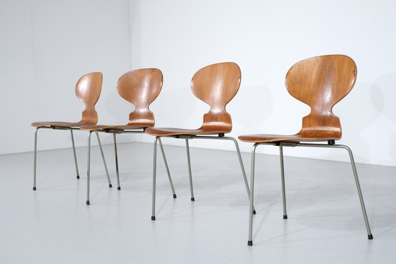 Image 1 of Set of 4 Ant Chairs model 3100 in teak by Arne Jacobsen or Fritz Hansen - 1950s