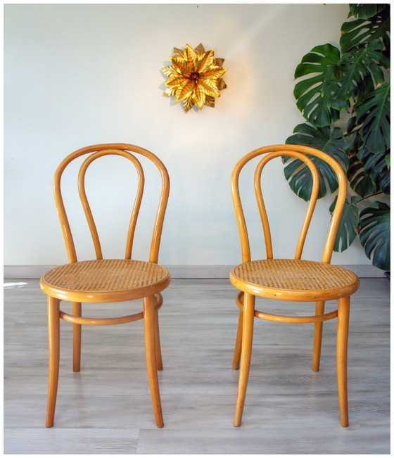 Image 1 of Coppia di sedie da bistrot anni '70 in legno curvato e vimini.