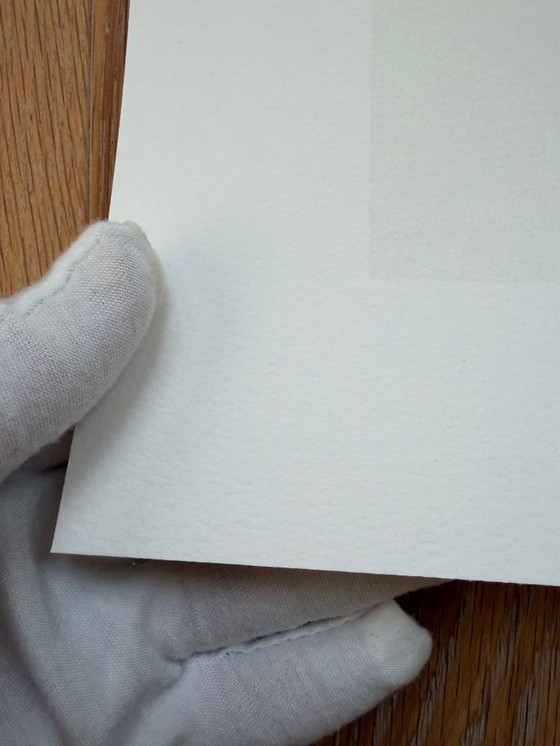 Image 1 of Egon Schiele (1890-1918), Zonnebloemen, 1917, Gedrukt in Italië