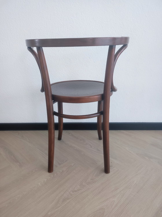 Image 1 of Chaise Thonet Cosmos classique