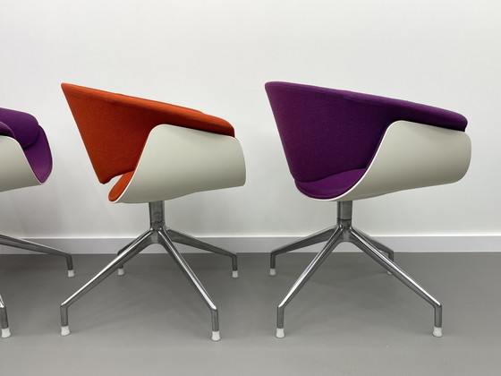 Image 1 of B&B Italia  Sina kuipstoel 4 stuks