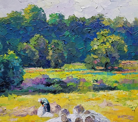 Image 1 of Hay for the Winter