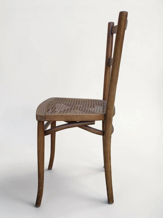 Sedia da bistrò impagliata – Sedie da pranzo, Wood, Art Nouveau (photo 8 of 12)