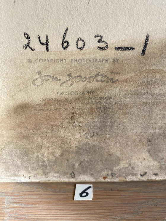 Image 1 of 1 collezione di 7 foto