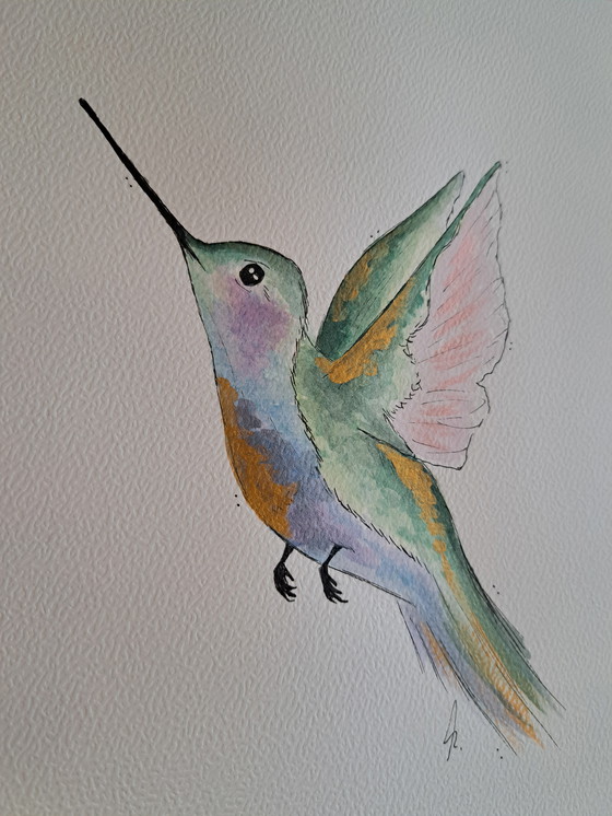 Image 1 of Peinture à l'aquarelle d'un colibri avec cadre et passe-partout