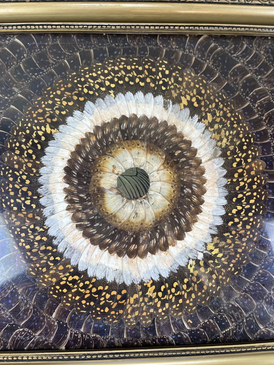 Image 1 of Tableau aile de papillons