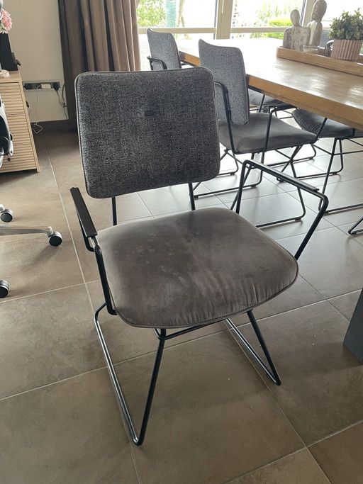 6x stoelen xooon