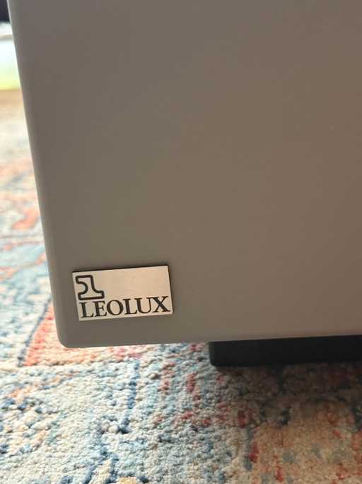 Leolux Trova coffee table