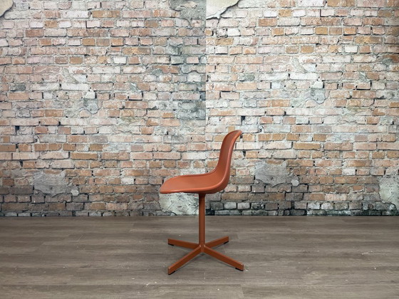 Image 1 of Hay Neu 10