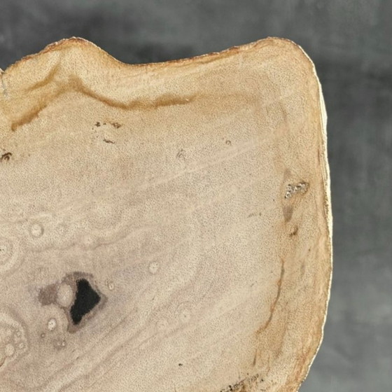 Image 1 of Madera fosilizada de Sooka, soporte hecho a medida (nuevo)