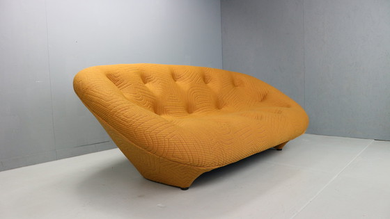 Image 1 of Canapé Ploum Medium High Back by Ligne Roset in Kvadrat Febrik Apparel 433