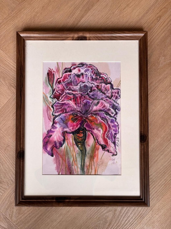 Dipinto ad acquerello, Dipinti e disegni, Plexiglass, Plastica, Viola (foto 5 di 6)