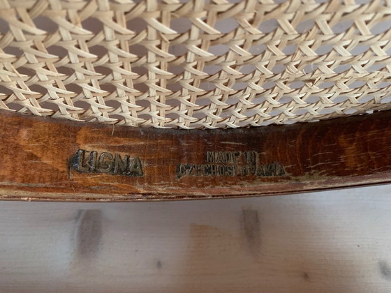 Image 1 of 6 sedie da pranzo Thonet Ligna