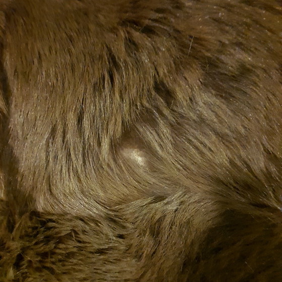 Image 1 of Minotti Kidassia-Teppich – 225 x 345