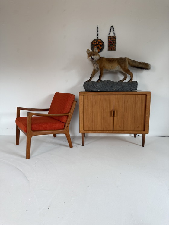 Taxidermie d'un renard empaillé '00 – Objets déco, Plastic (photo 8 of 8)