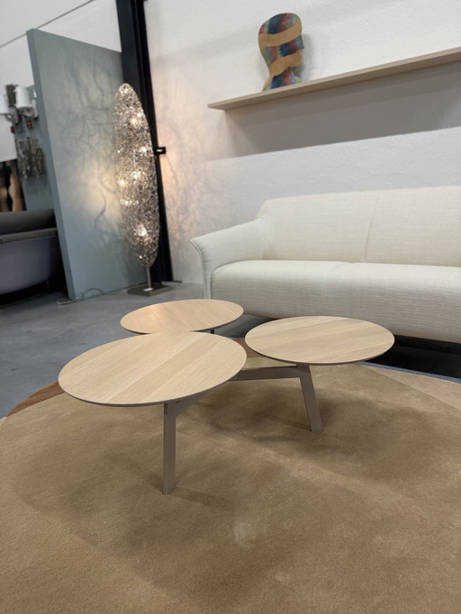 Leolux Ninfea Rondo Couchtisch aus Eichenholz