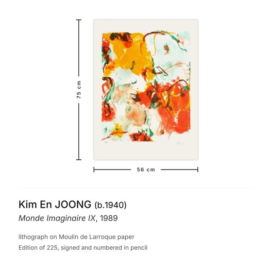 Image 1 of Kim En JOONG Monde Imaginaire IX Litografia firmata 1989